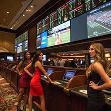 166bet login